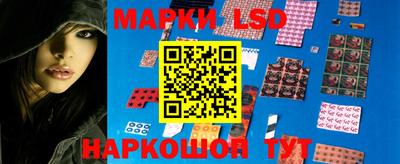 мяу мяу мука Тула